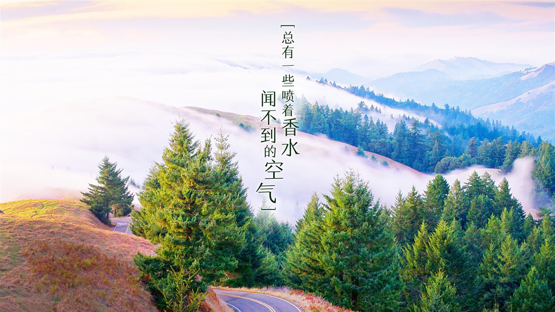 世俱杯足球赛事在线直播-青少年游泳联赛，未来之星逐梦赛场，2021青少年游泳赛事时间表