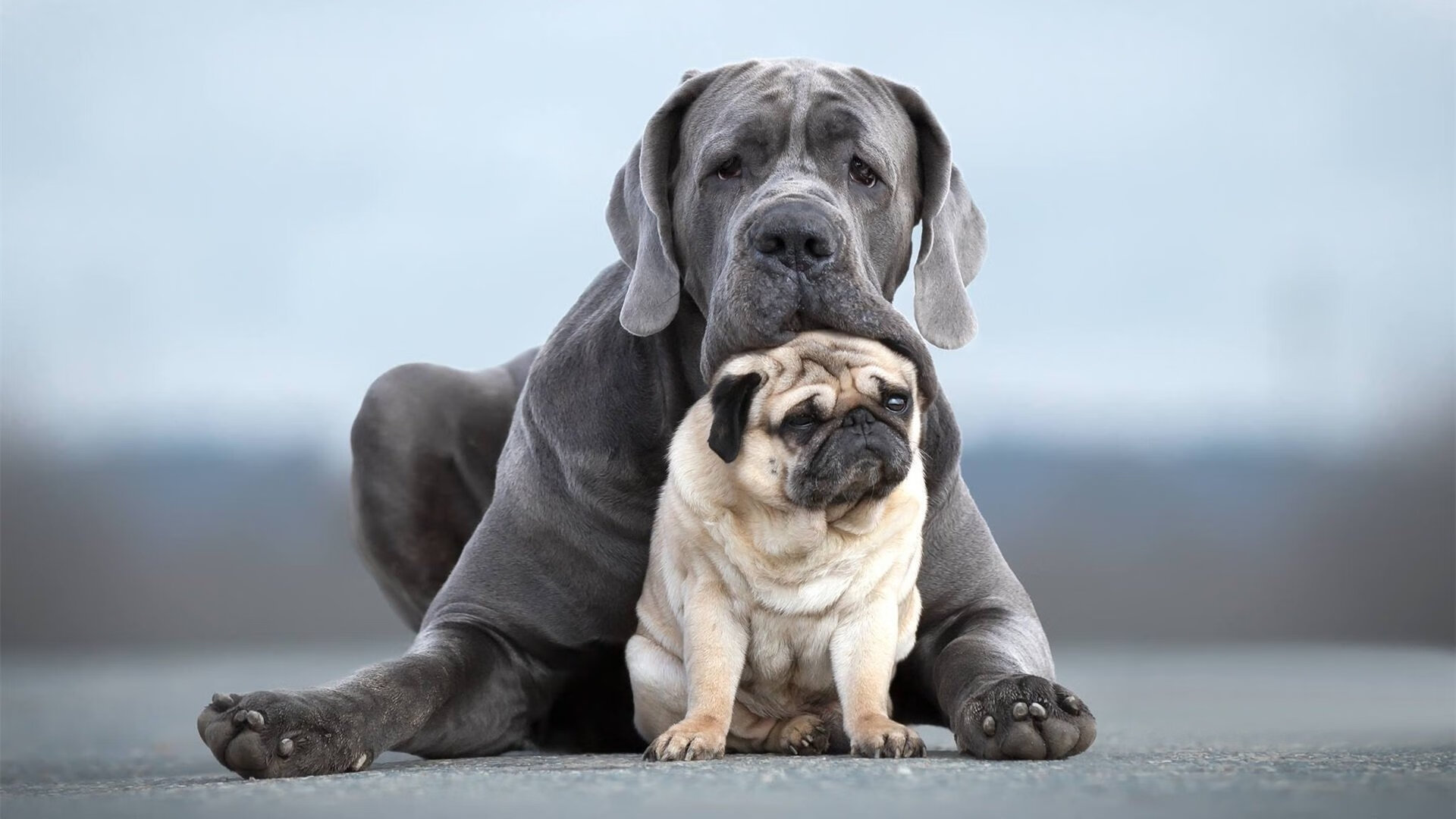 世俱杯直通-布伦森表现不稳定，球队进攻端受限，布伦森集锦